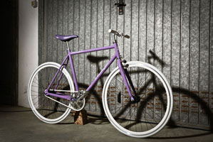 viola14